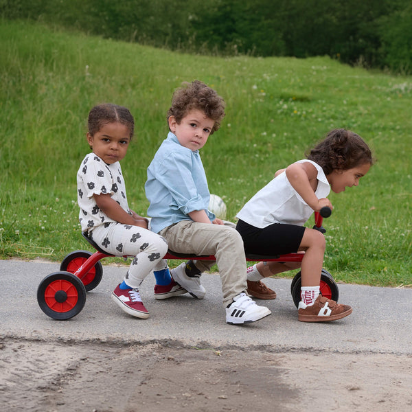 Winther Mini Viking Push Bike for Three | Stable Ride-On for Toddlers | Ages 1-3 winther