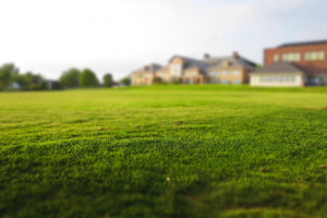 Spacious green lawn ideal for placing an outdoor trampoline or garden play equipment in a family-friendly residential area.