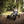 BERG Rally Jeep® Cherokee Go-Kart | LED Lights, Soundbox & Off-Road Springs - Little Gliders