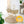 Clair de Lune Organic Palm Moses Basket | Sustainable & Breathable | Ages 0-9M clair de lune 