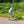 Li-Fe 120 Pro Electric Scooter | Safe, Adjustable Ride On Fun for Kids | Ages 8+ life 