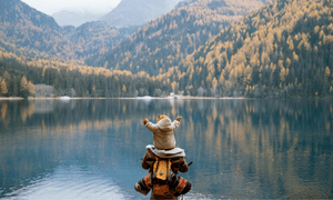 Child enjoying a scenic lake view while sitting on parent's shoulders – perfect for families seeking adventure gear, baby carriers, and outdoor travel essentials for toddlers.