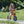 Winther Circleline Bike Runner - Durable Balance Bike for Kids | Ages 3-7 winther