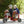 Winther Circleline Fire Truck Trike - Durable Red Ride-On for Kids’ Role Play | Ages 4-7 winther 