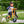 Winther Circleline Bicycle Orange - Sturdy Pedal Bike for Kids | Ages 3-6 winther 