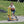 Winther Circleline Safety Roller - Stable 3 Wheeled Scooter for Kids | Ages 3-7 winther 