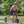 Winther Circleline Safety Roller - Stable 3 Wheeled Scooter for Kids | Ages 3-7 winther 