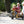 Winther Circleline School Bus Trike - Durable Yellow Ride-On for Role Play | Ages 4-7 winther