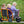 Winther Circleline Twin Taxi - Durable Ride-On for Role Play | Ages 4-7 winther