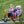 Winther Circleline Twin Taxi - Durable Ride-On for Role Play | Ages 4-7 winther