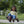 Winther Medi Funracer - Innovative Ride-On for Kids | Ages 3-6 winther 