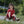 Winther Medi Funracer - Innovative Ride-On for Kids | Ages 3-6 winther 