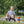 Winther Medi Funracer - Innovative Ride-On for Kids | Ages 3-6 winther 