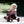 Winther Mini Viking Easy Rider | Harley-Style Trike for Toddlers | Ages 2-4 winther 