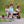 Winther Mini Viking Push Bike for Three | Stable Ride-On for Toddlers | Ages 1-3 - Little Gliders