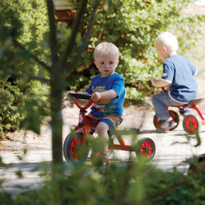 Winther Mini Viking Push Car with Steering Wheel | Toddler Ride-On Trike | Ages 1-3 winther 