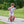 Winther Mini Viking Scooter | Safe & Durable First Scooter for Kids | Ages 3-4 winther 