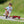 Winther Mini Viking Trailer | Durable Add-On for Tricycles | Ages 1-4 winther 