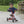 Winther Mini Viking Tricycle Low | Safe & Stable First Trike for Kids | Ages 2-4 winther