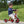 Winther Mini Viking Tricycle Low | Safe & Stable First Trike for Kids | Ages 2-4 winther