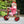 Winther Mini Viking Tricycle Low | Safe & Stable First Trike for Kids | Ages 2-4 winther