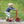 Winther Mini Viking Wide Base Scooter | Stable 3-Wheel Scooter for Toddlers | Ages 2-4 - Little Gliders