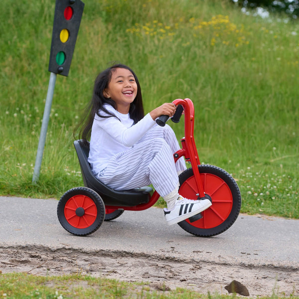 Winther Viking Easy Rider - Cool & Durable Trike for Kids | Ages 4-7 winther 