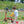 Winther Viking Challenge Circle Walking Wagon | Safe & Sturdy Toddler Walker | Ages 1-3 - Little Gliders