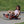 Winther Viking Challenge Foot Twister - Fun Ride-On Trike for Kids | Ages 4-10 winther 