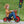 Winther Viking Easy Rider - Cool & Durable Trike for Kids | Ages 4-7 winther 