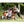 Winther Viking Explorer BobKart - Durable Off-Road Push-Along Trike | Ages 4-10 winther
