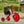 Winther Viking Explorer Chopper - Fast & Durable Trike for Kids | Ages 5-12 winther