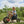 Winther Viking Explorer Easy Rider - Durable Off-Road Trike for Kids | Ages 3-7 winther 