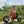 Winther Viking Explorer Easy Rider - Durable Off-Road Trike for Kids | Ages 3-7 winther 