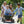 Winther Viking Explorer Surfer Boat - Fun Push or Pull Handcart | Ages 4-7 winther