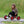 Winther Viking FunCart Ride-On - Dynamic Trike for Kids’ Coordination | Ages 4-7 winther