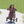 Winther Viking Tricart - Adjustable & Durable Trike for Kids | Ages 5-12 winther 