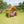 Wisdom Outdoor Playhouse – Wooden Garden Role Play House for Kids | Ages 3+ wisdom 