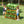 Wisdom Pinewood Planting Shelf – Gardening Table for Kids | Ages 3+ wisdom 
