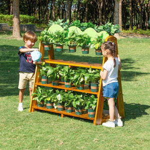 Wisdom Pinewood Planting Shelf – Gardening Table for Kids | Ages 3+ wisdom 