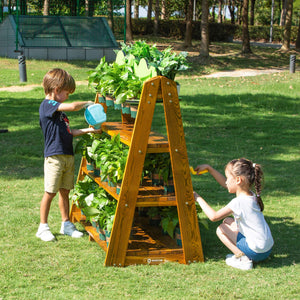 Wisdom Pinewood Planting Shelf – Gardening Table for Kids | Ages 3+ wisdom 